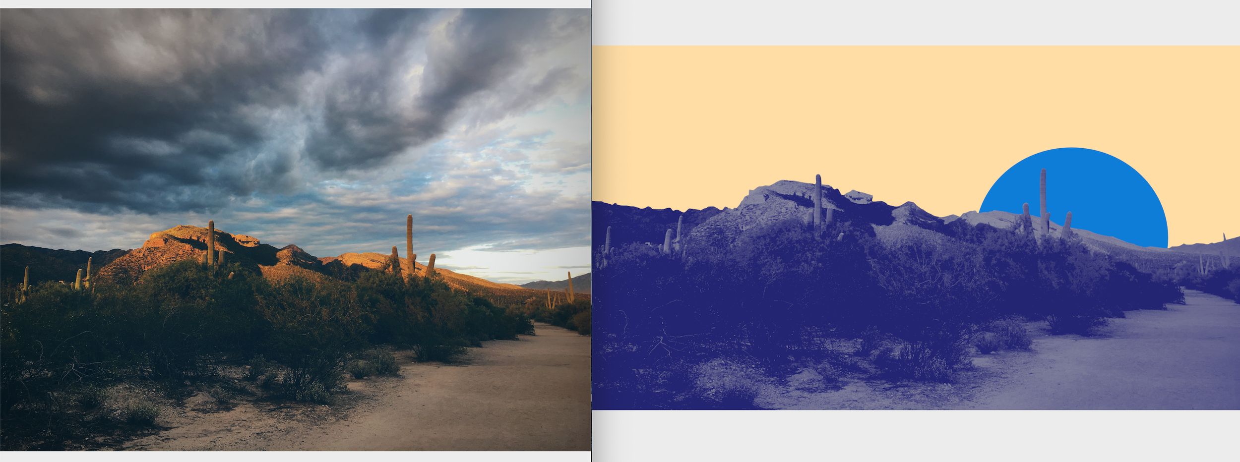 desert_view_copy_copy_jpg_and_Cactus_Blue_sun1_tif.png