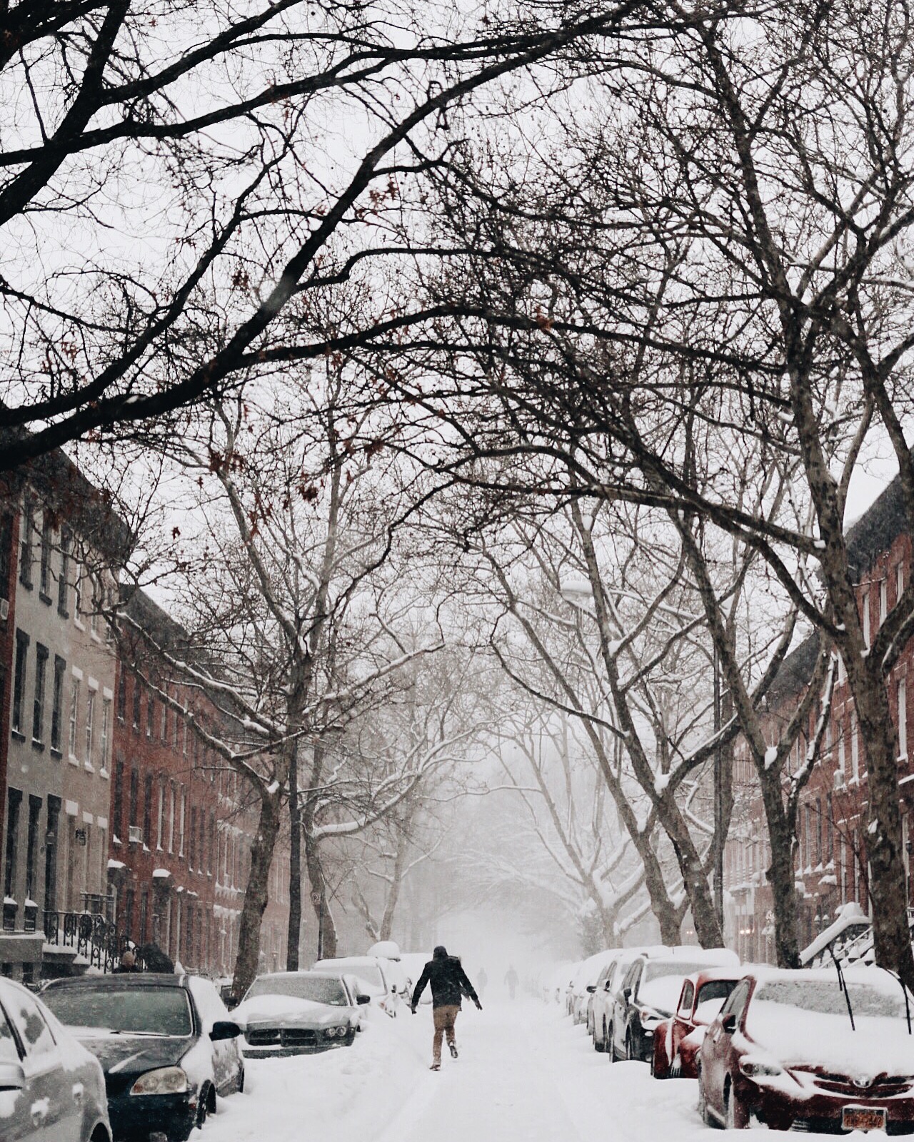 Luquer Street, Brooklyn. About 2:00pm 01.23.16