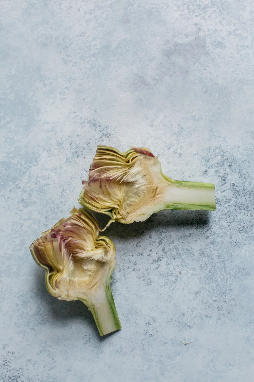 Artichoke-3.jpg