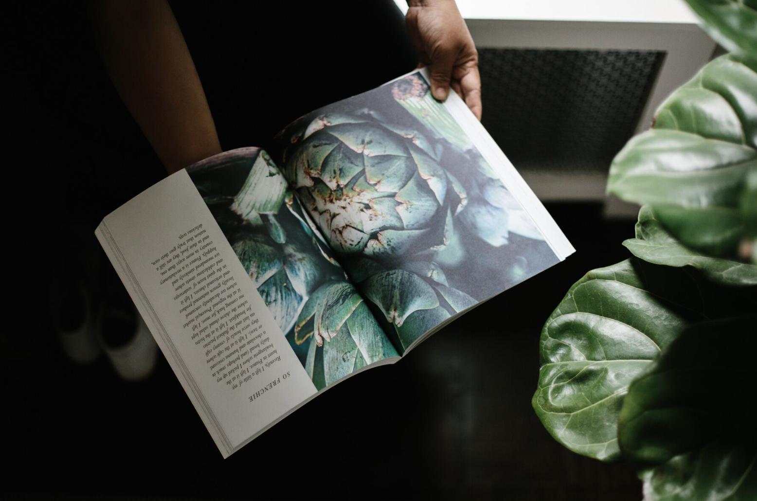 Person holding an open book with a large image of an artichoke, surrounded by green leaves.