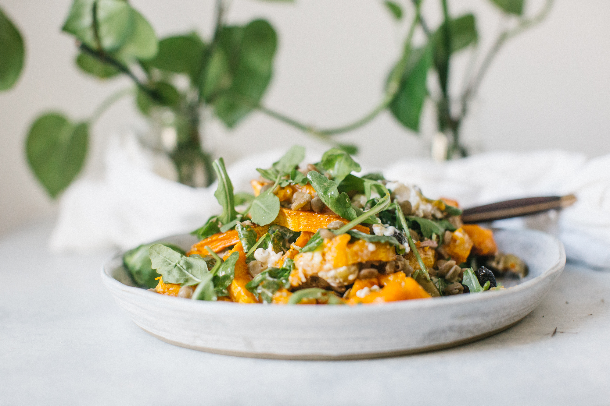 Close-up of a salad with roasted squash, arugula, lentils, and goat cheese on a white plate, with green plants in the background.