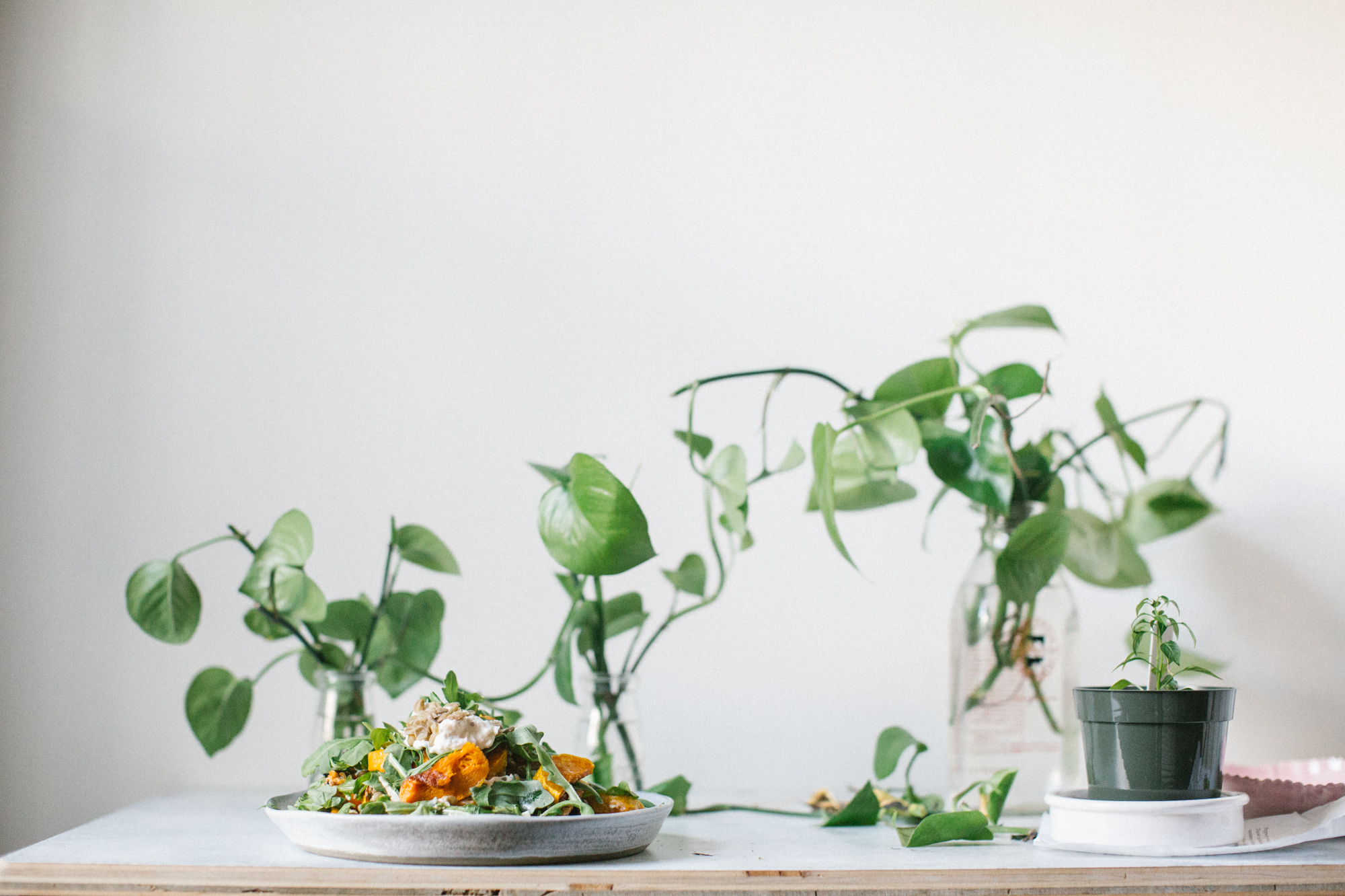 Plate of salad on a table with potted plants and green leafy vines in the background.
