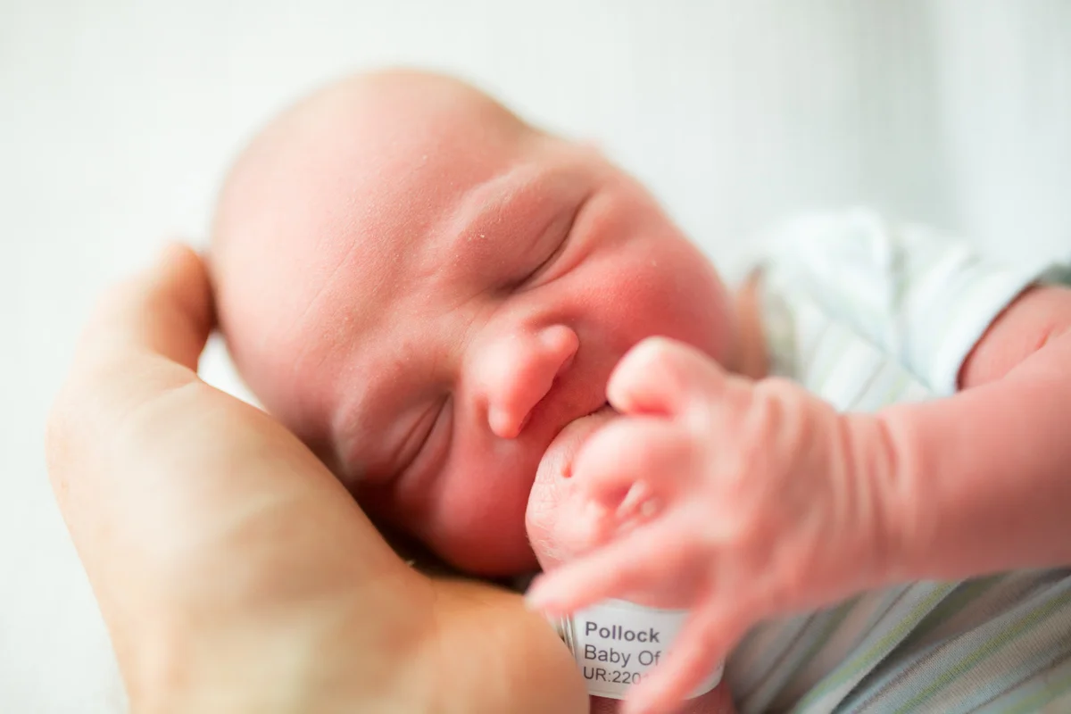 Pollock : Baby of...
