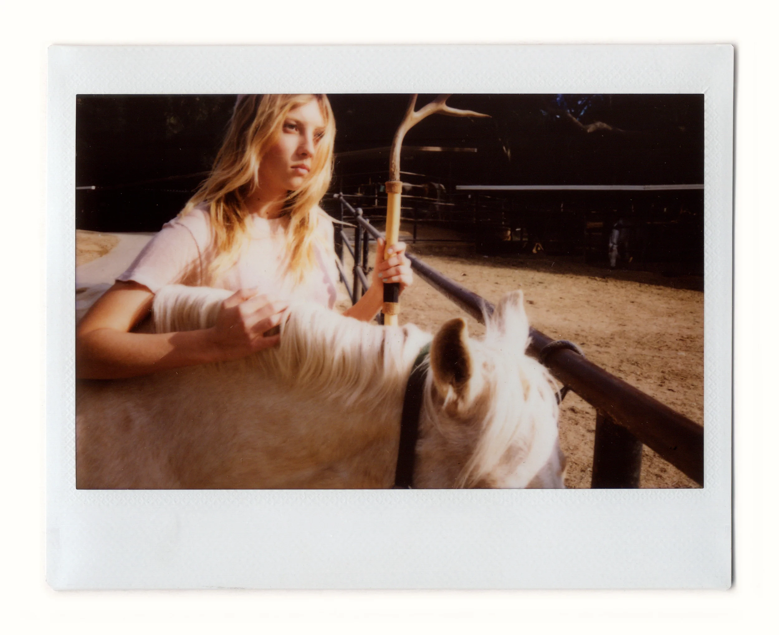 Polaroid Look F 05.jpg