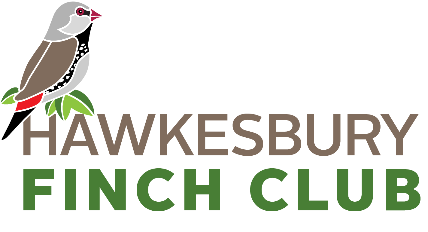 Hawkesbury Finch Club