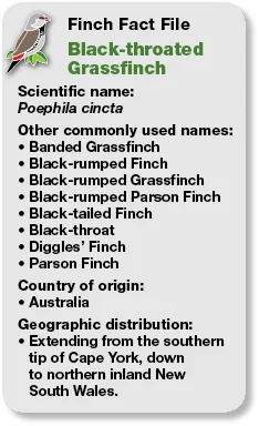 01_Fact_File_Parsons.jpg