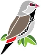 Finch logo_bird_RGB.jpg