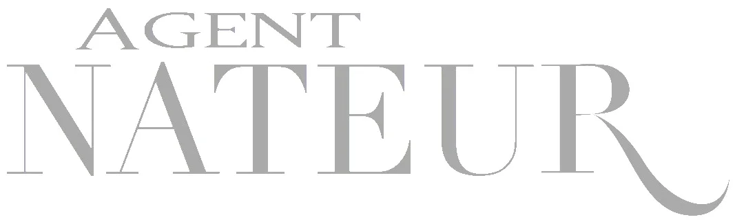 AGENT%2BNATEUR%2BLOGO%2B%25281%2529.jpg