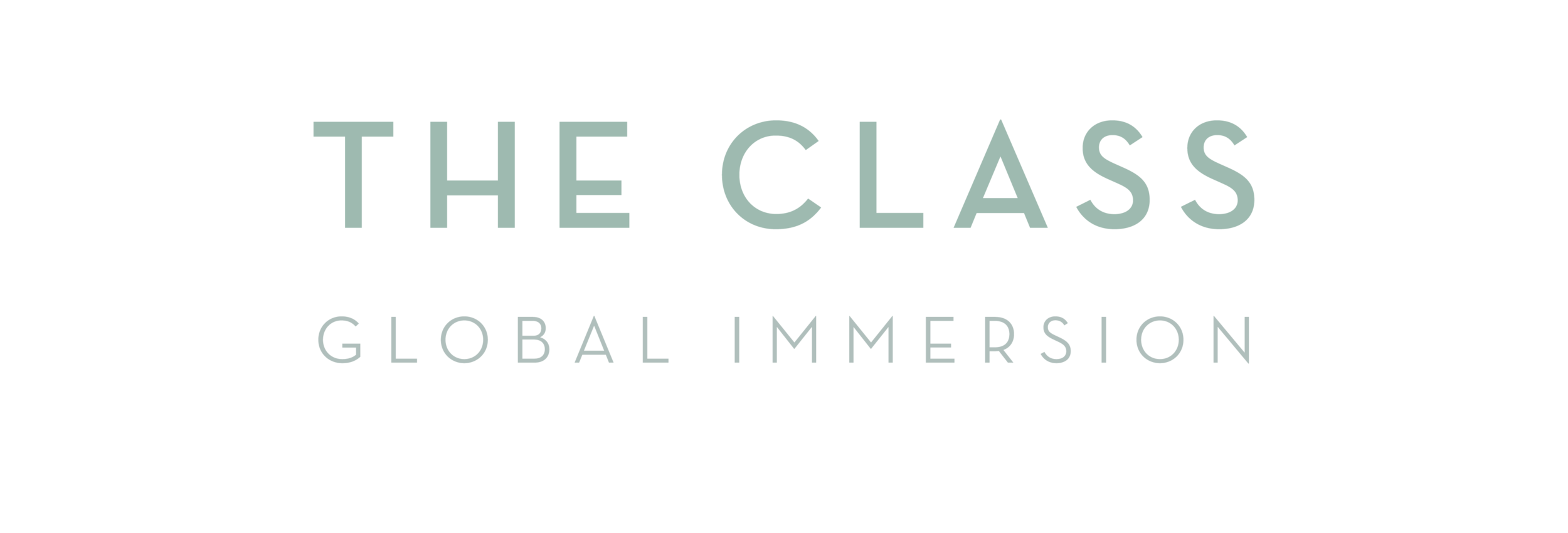 global immersion.png