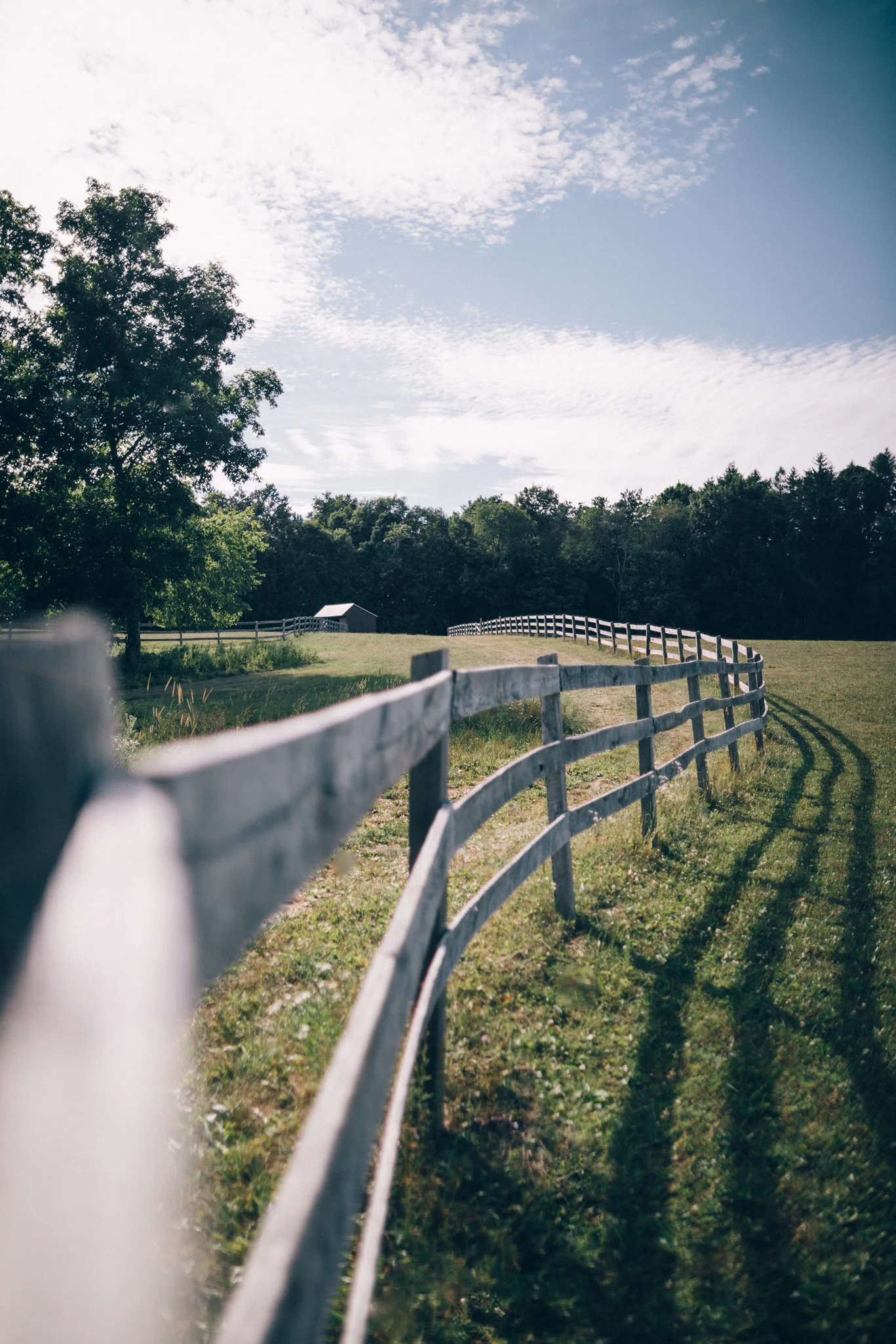 fence.jpg