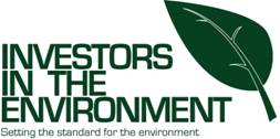 iie_logo.jpg