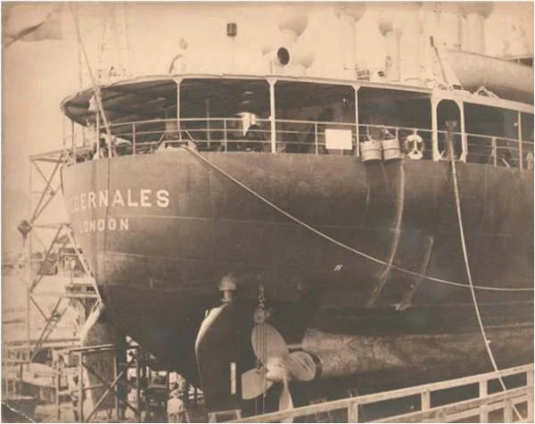 Picture6.jpg