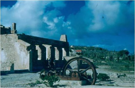 Picture9.jpg