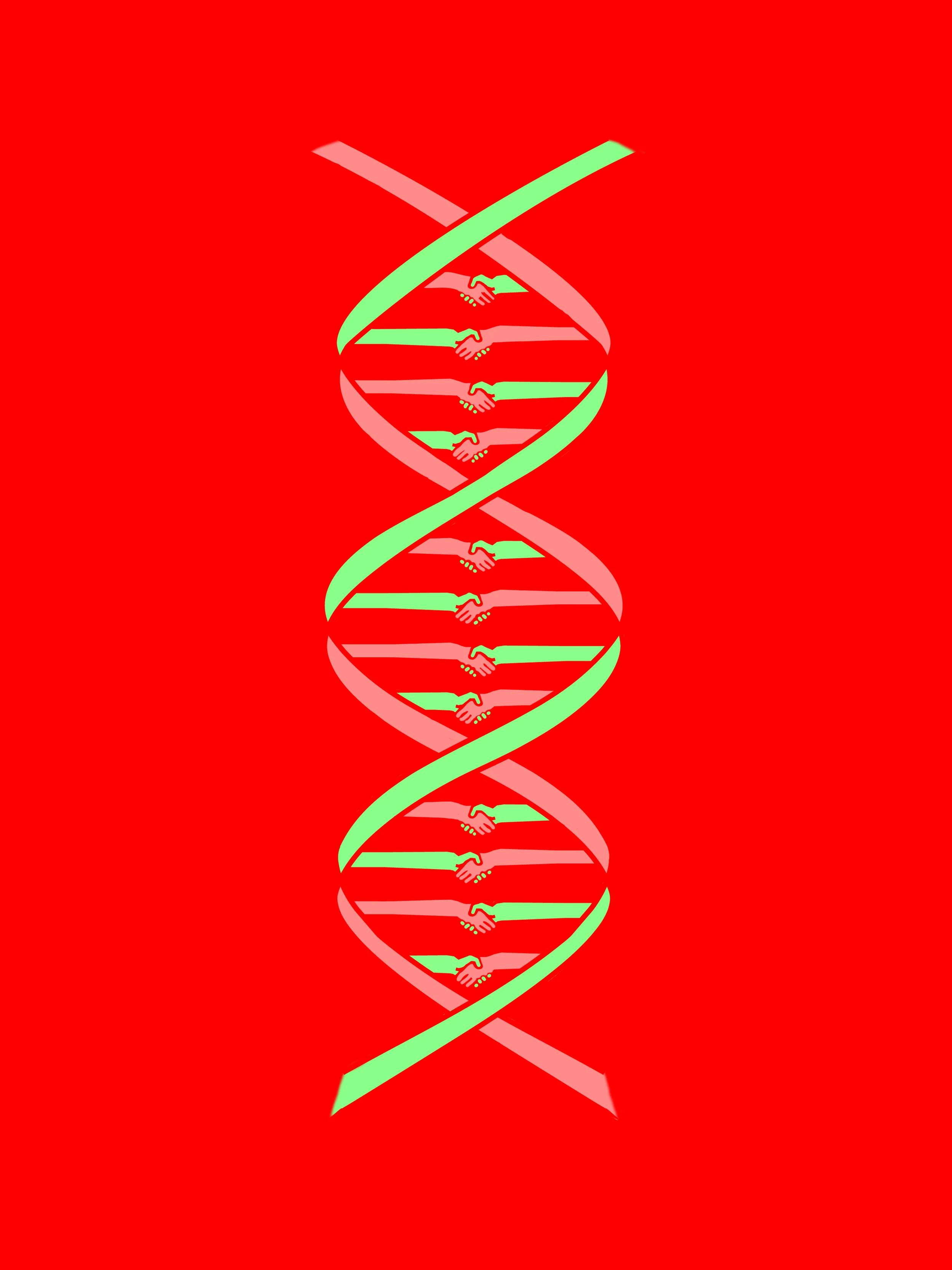HUMAN GENOME2.jpg