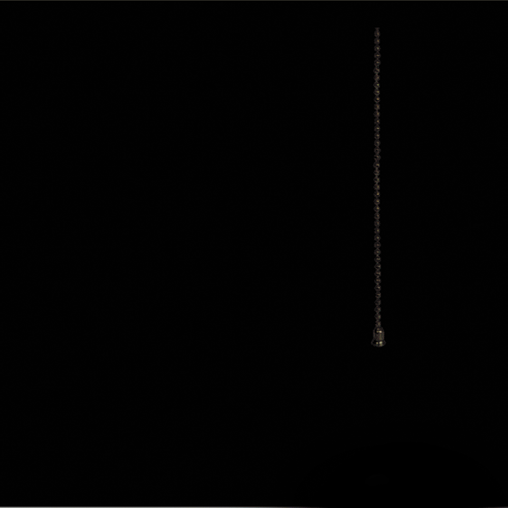 moth2.gif