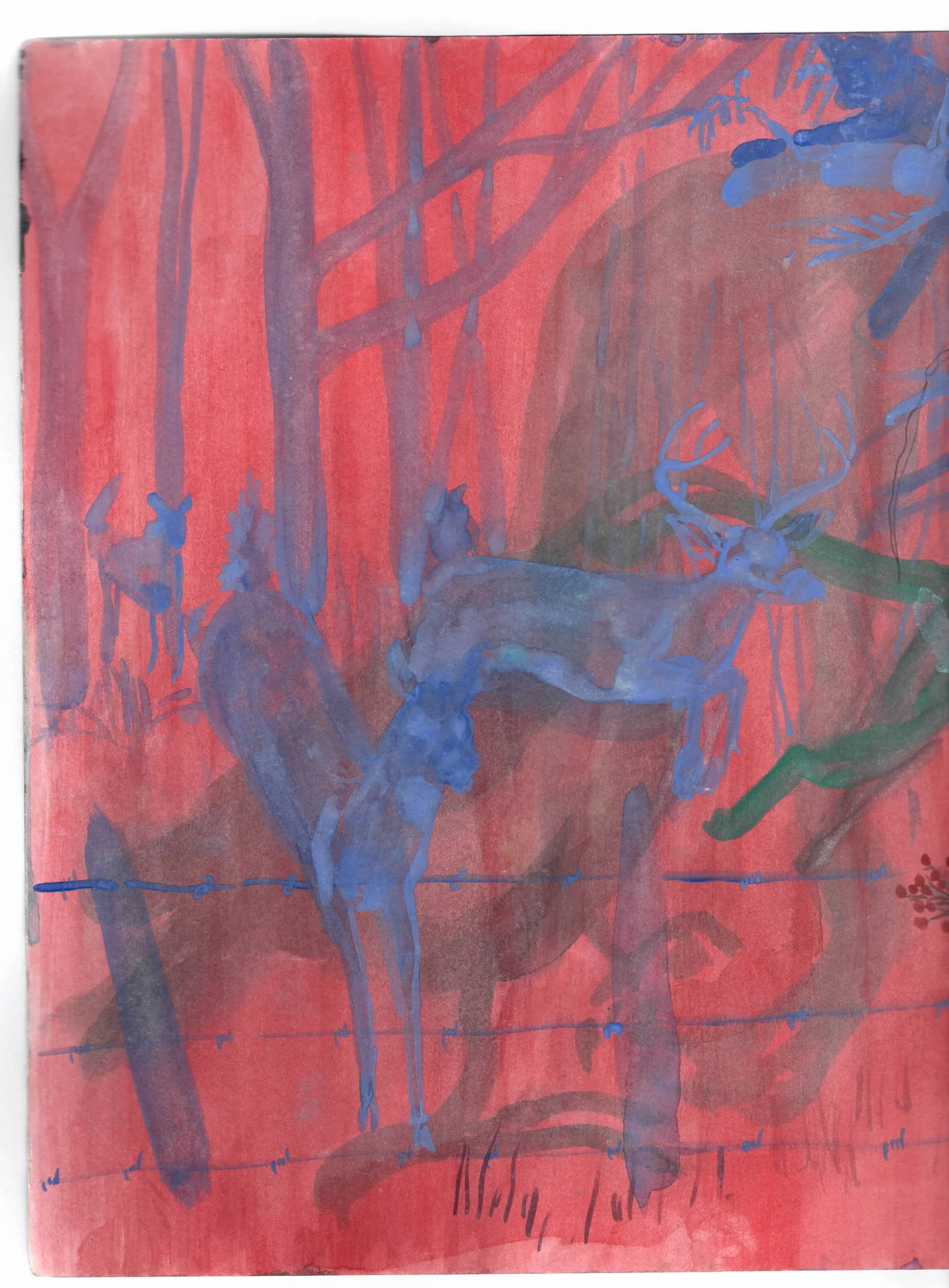 paintings 12.jpeg