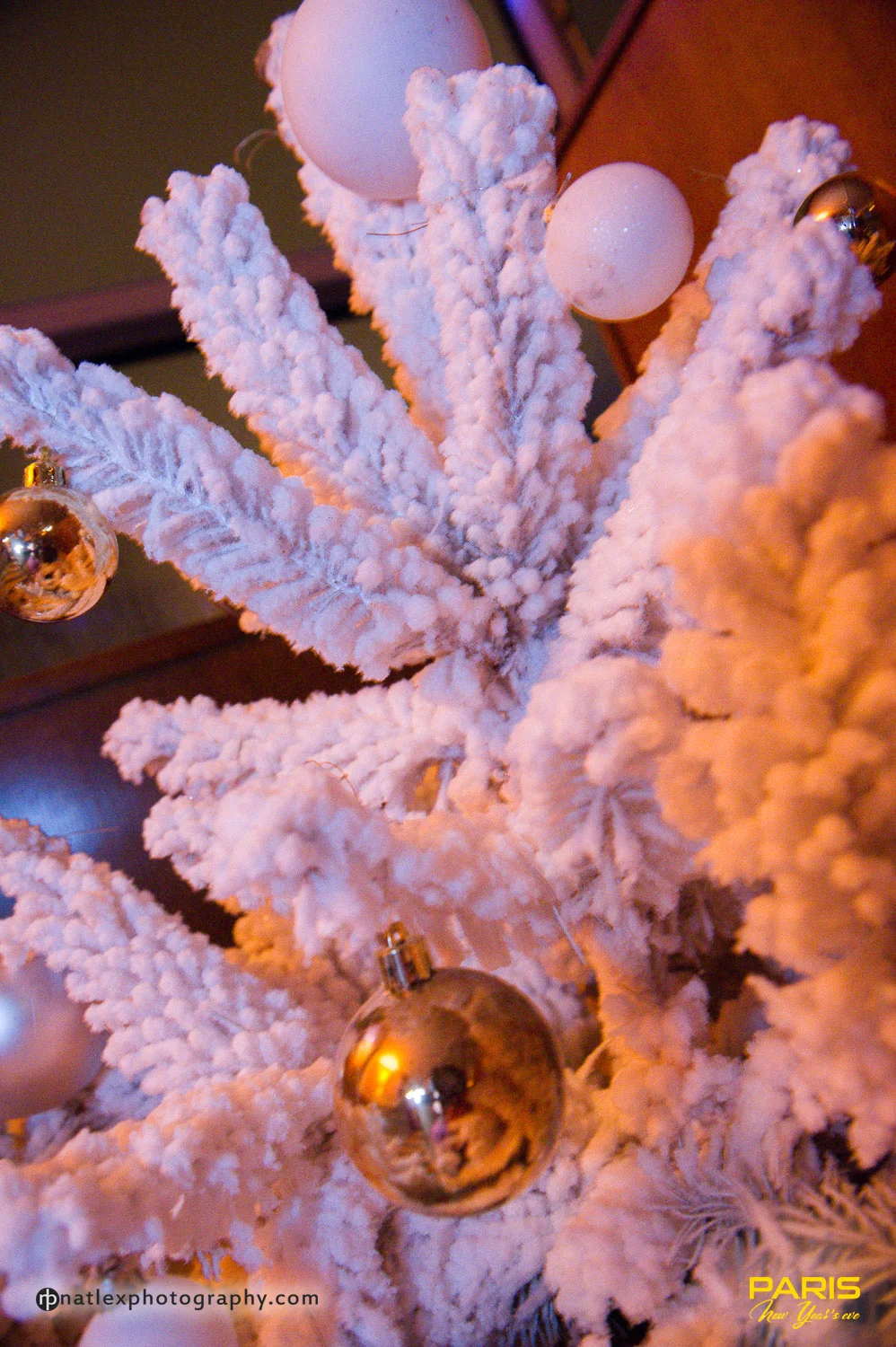 Paris_new_years_eve_2016-DSC_9652.JPG
