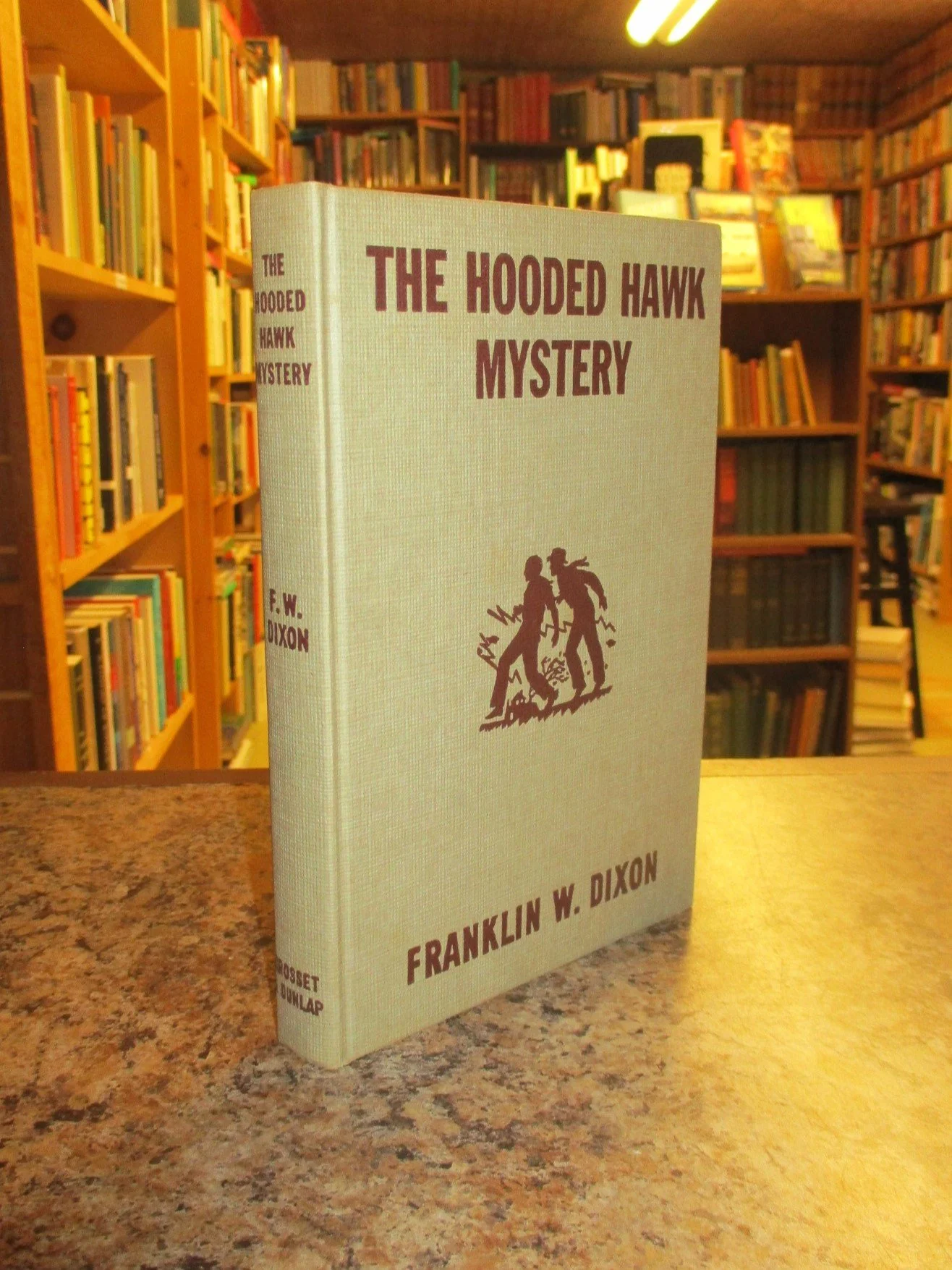 004300 - HB34 Hooded Hawk 4.JPG