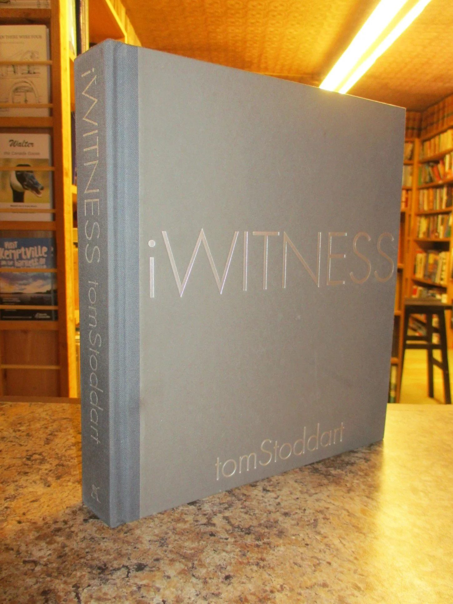 004439 - iWitness 1.JPG