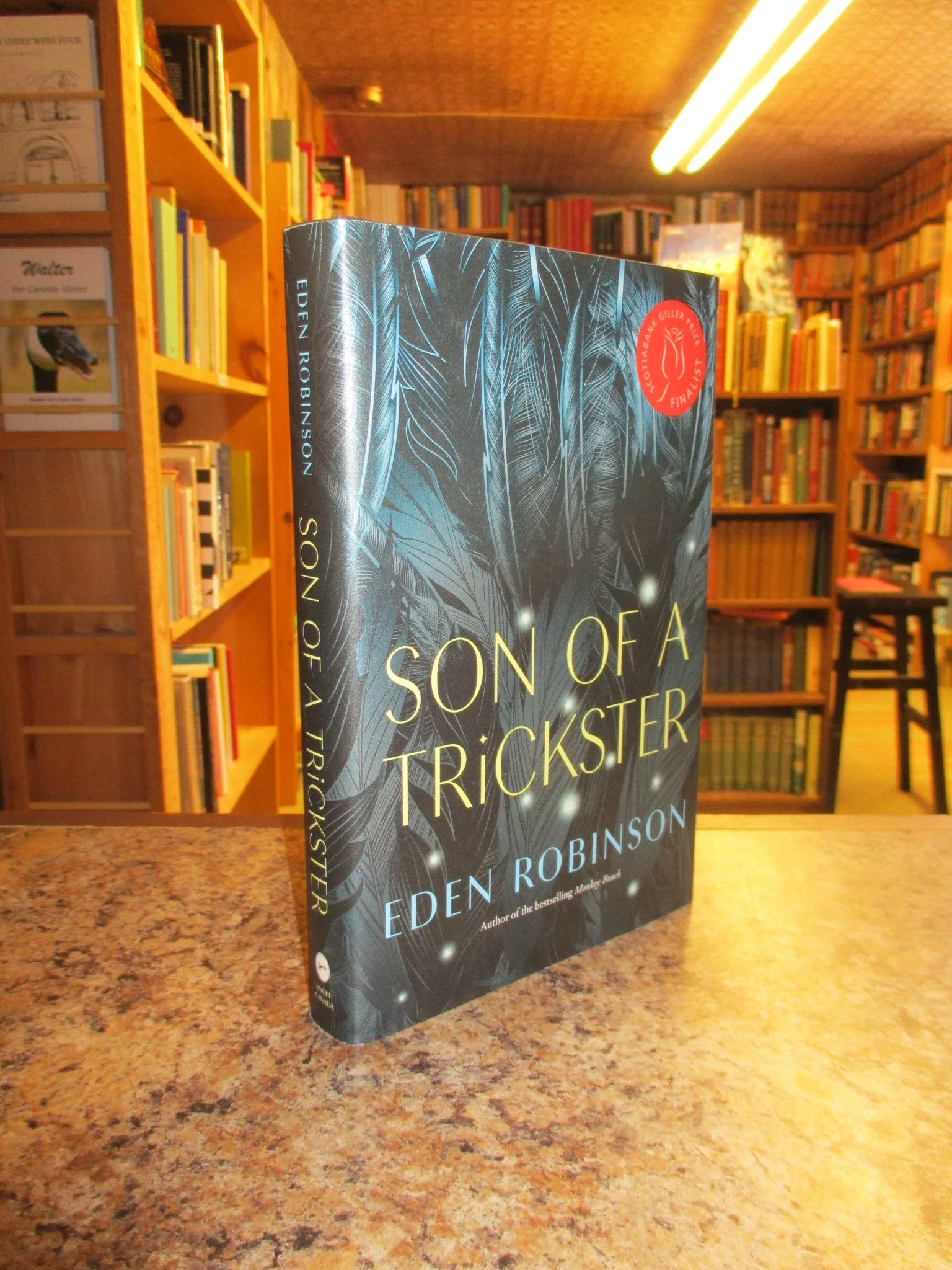 004417 - Son Of A Trickster 1.JPG