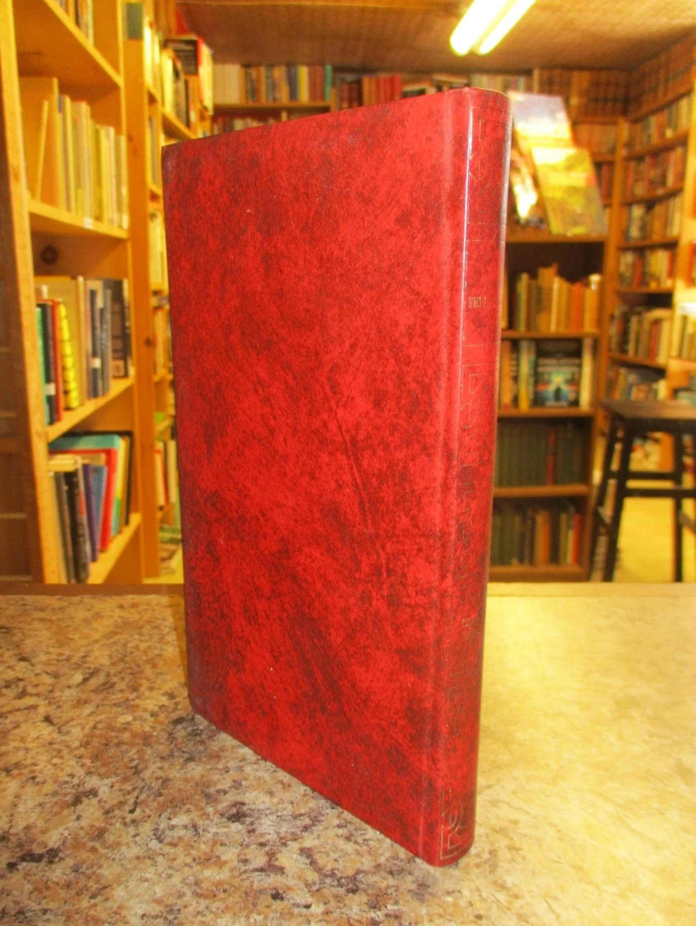 004353 - Charlie Muffin 2.JPG