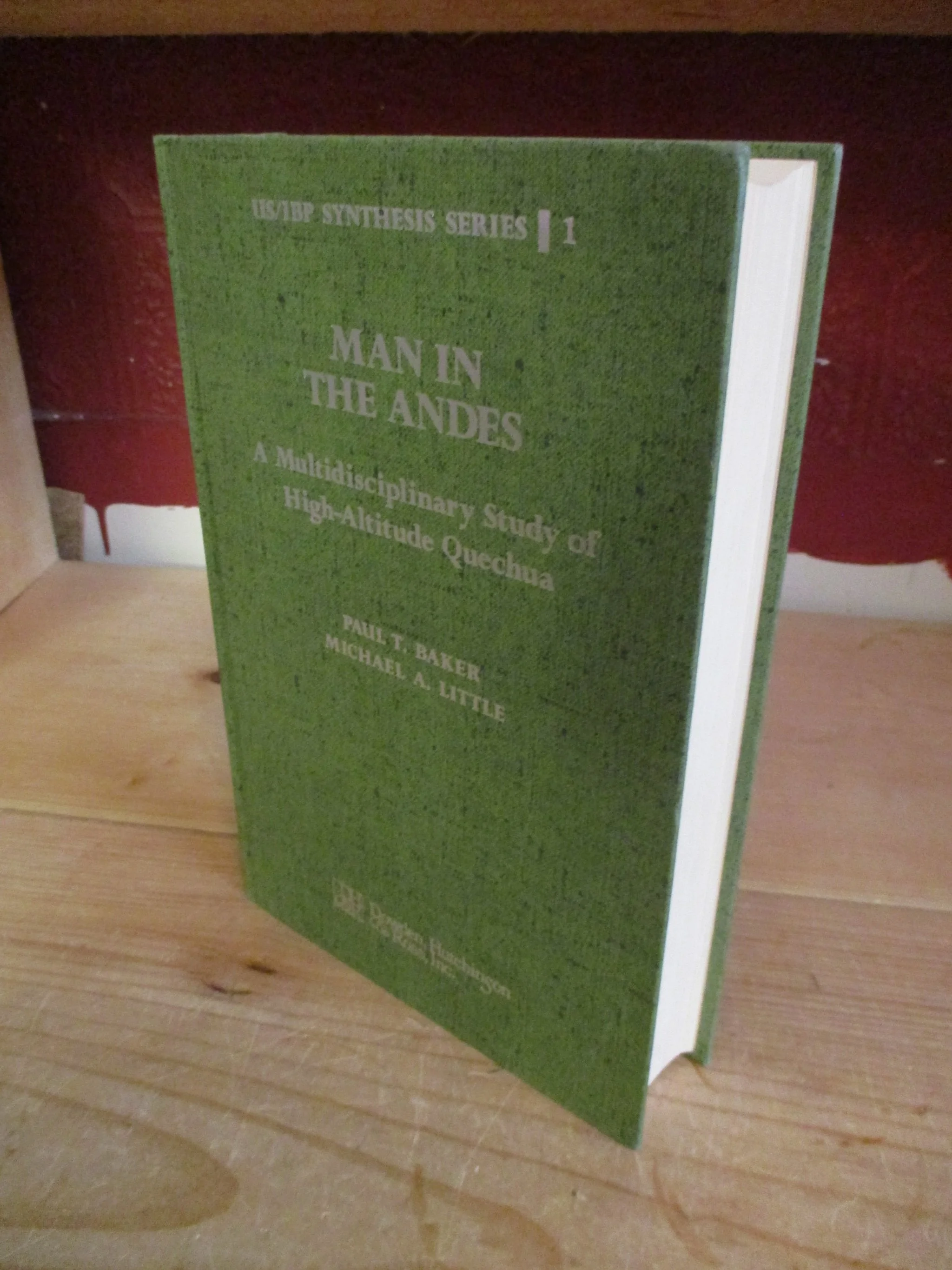 000871 - Man in the Andes 2.JPG