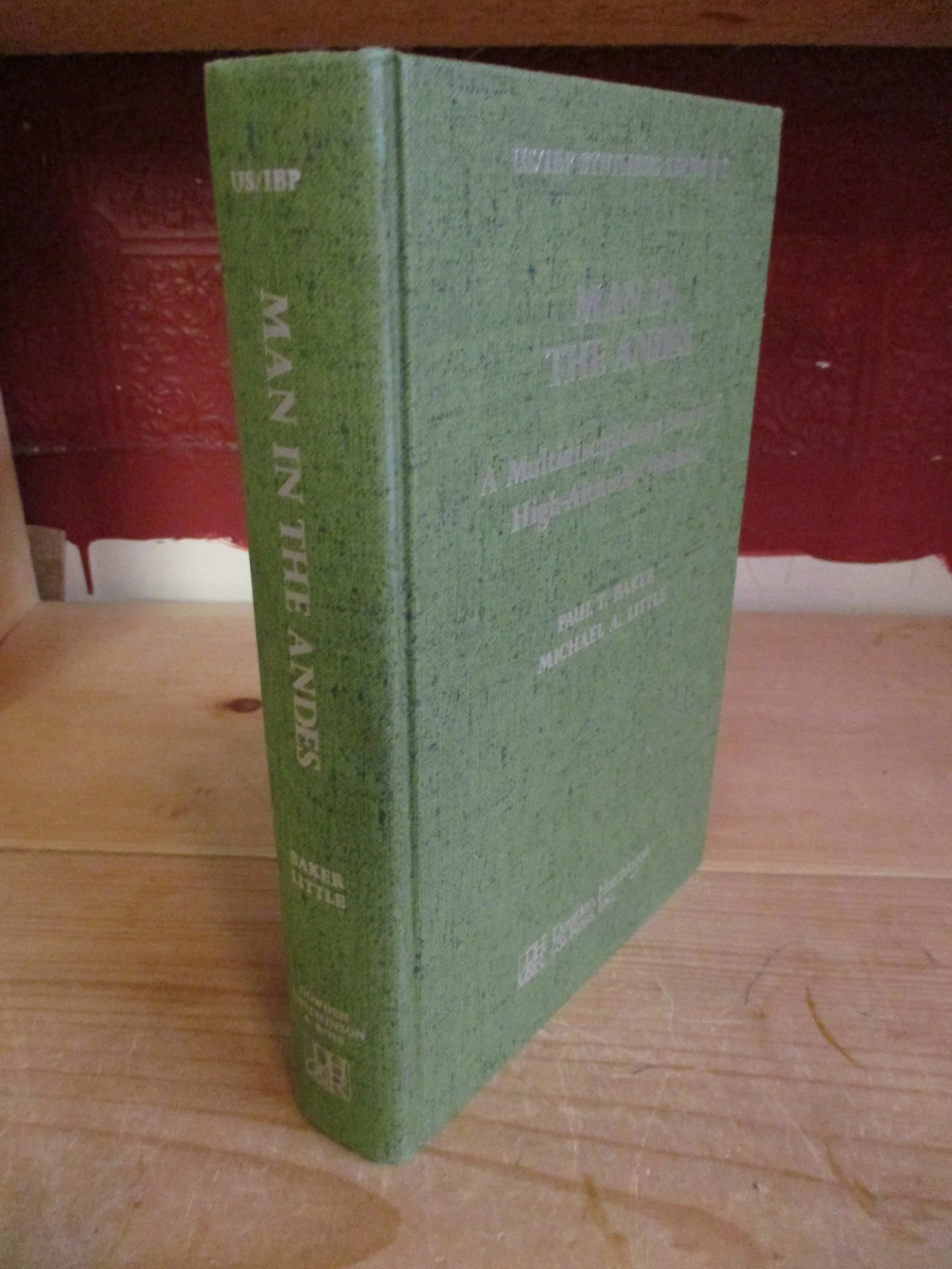 000871 - Man in the Andes 1.JPG