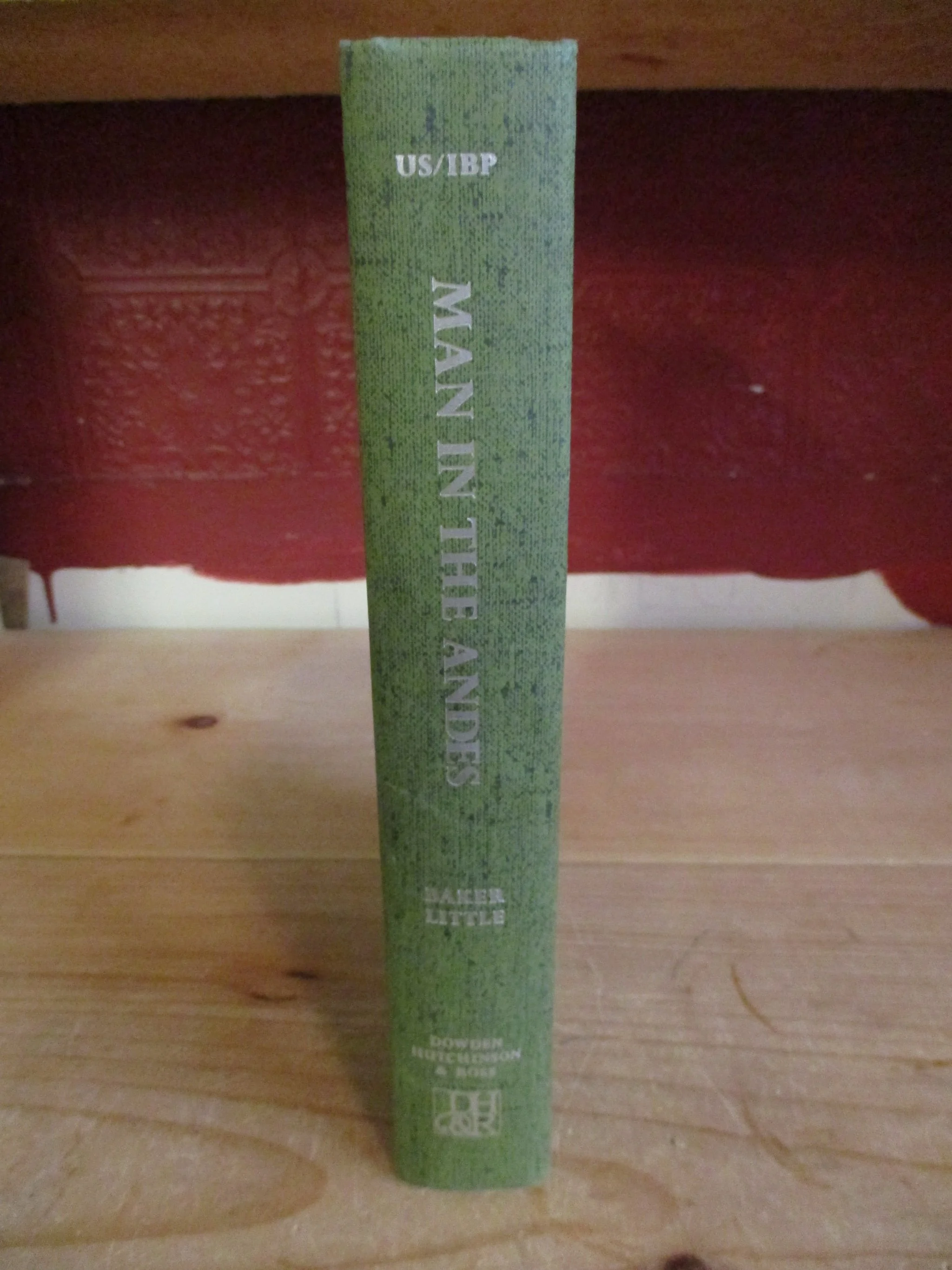 000871 - Man in the Andes 3.JPG