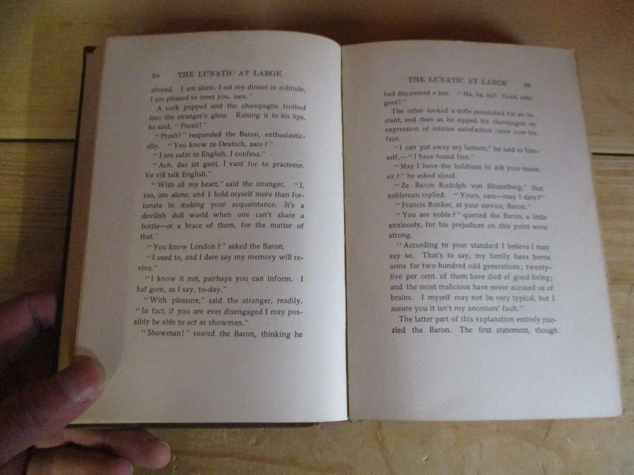 003899 - Lunatic at Large 4.JPG