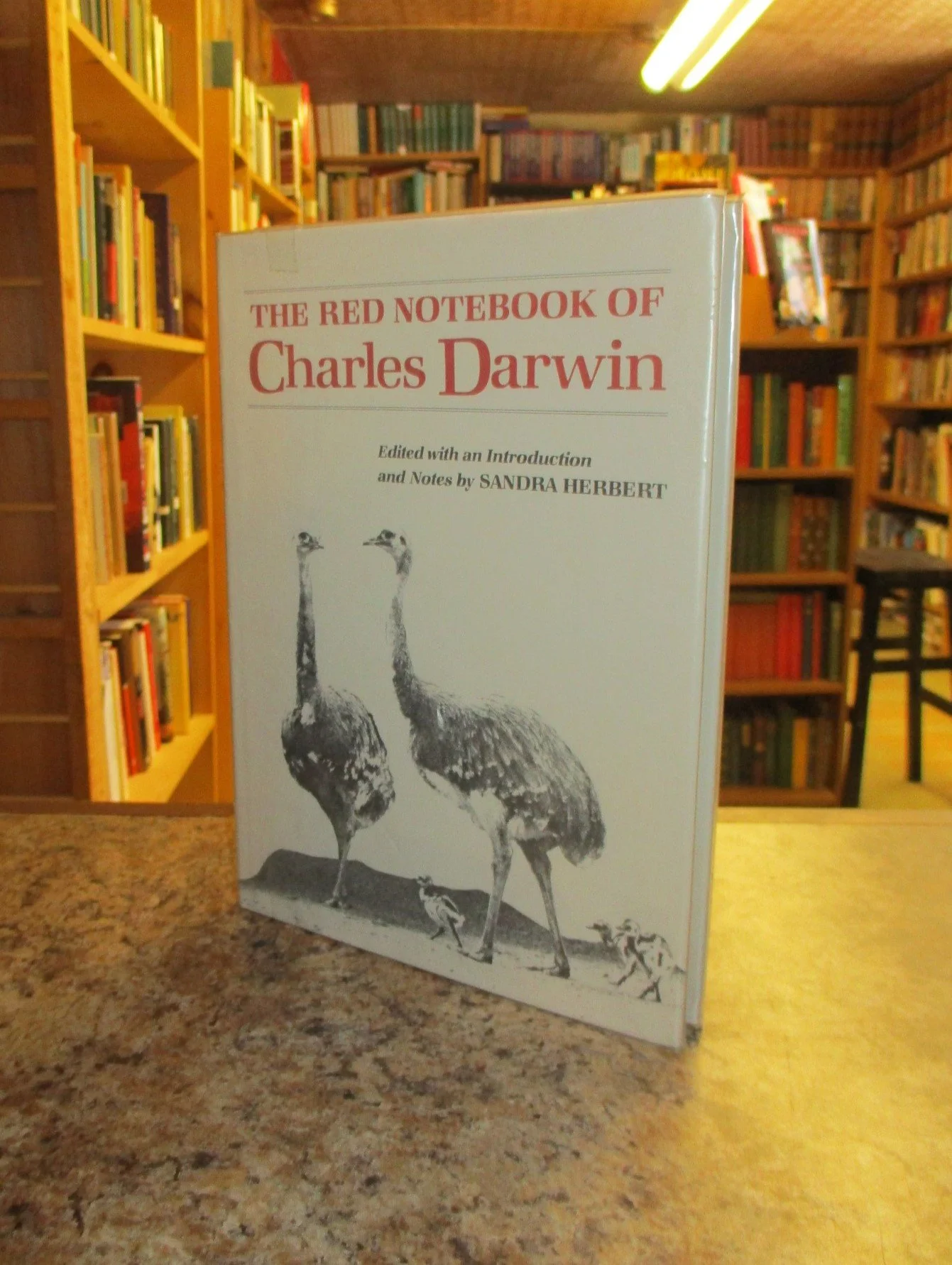 001279 - Red Notebook 2.JPG