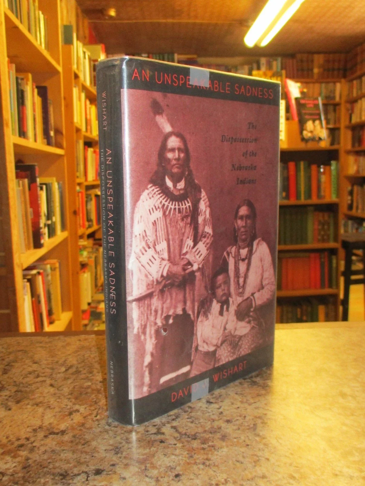 001311 - Unspeakable Sadness 1.JPG