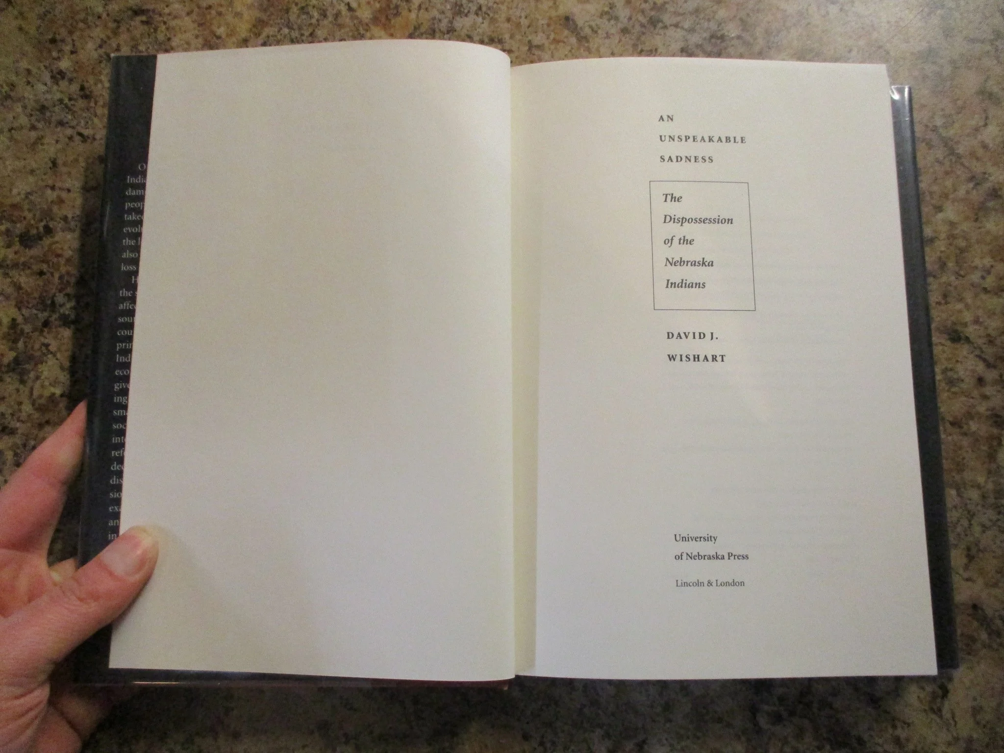 001311 - Unspeakable Sadness 3.JPG