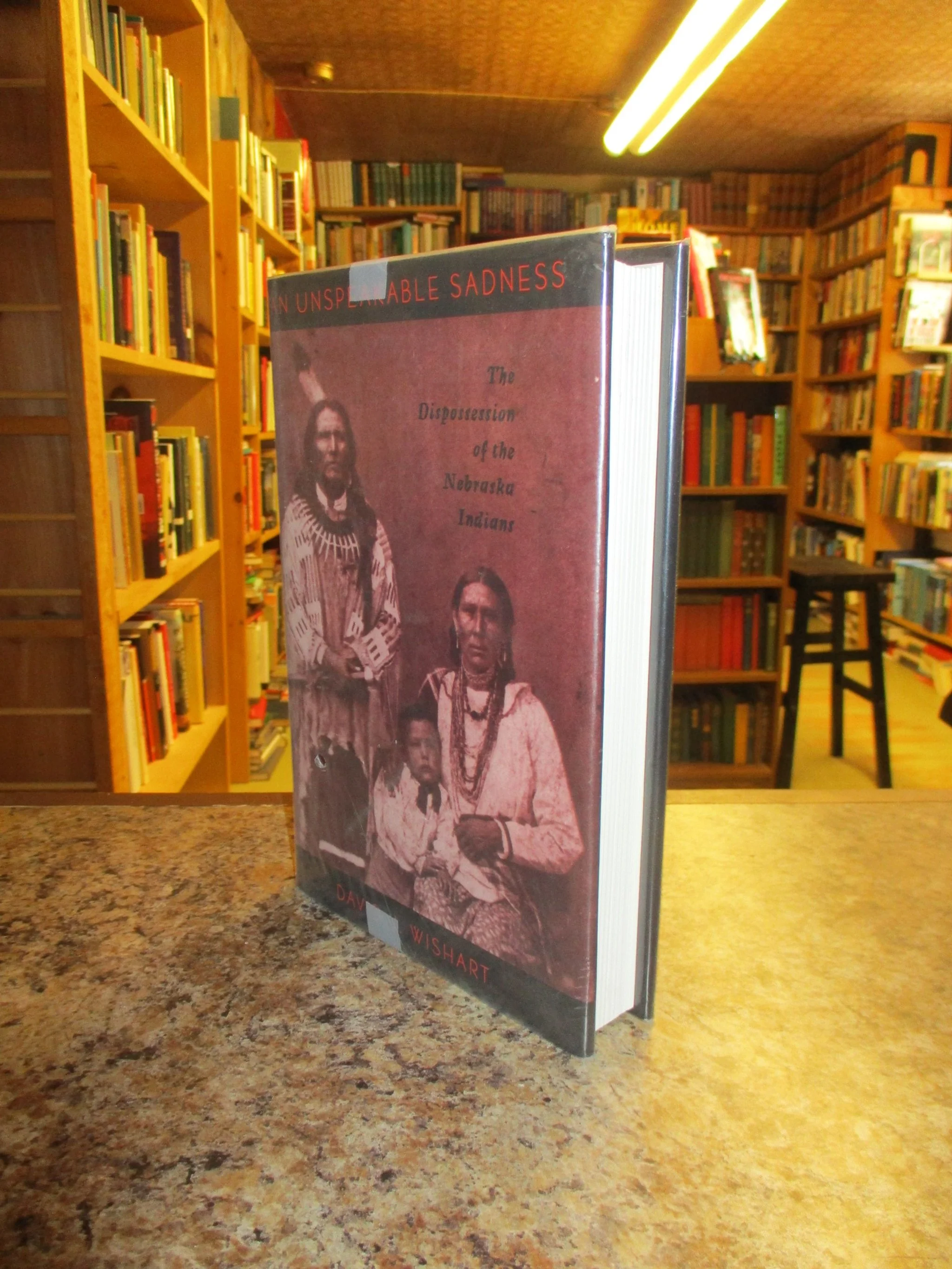 001311 - Unspeakable Sadness 2.JPG