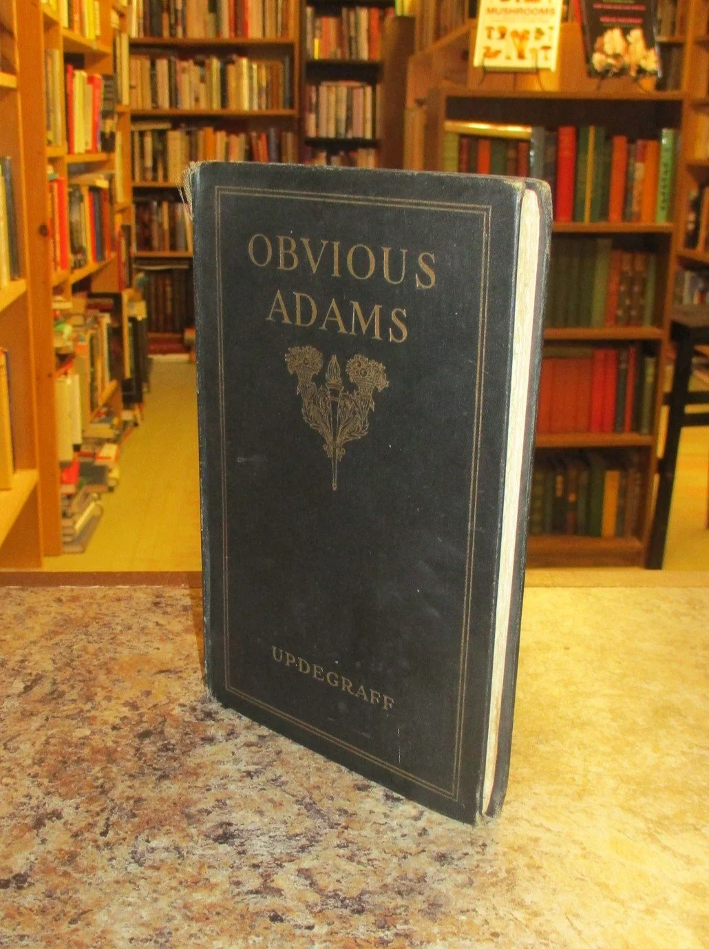 001558 - Obvious Adams 2.JPG