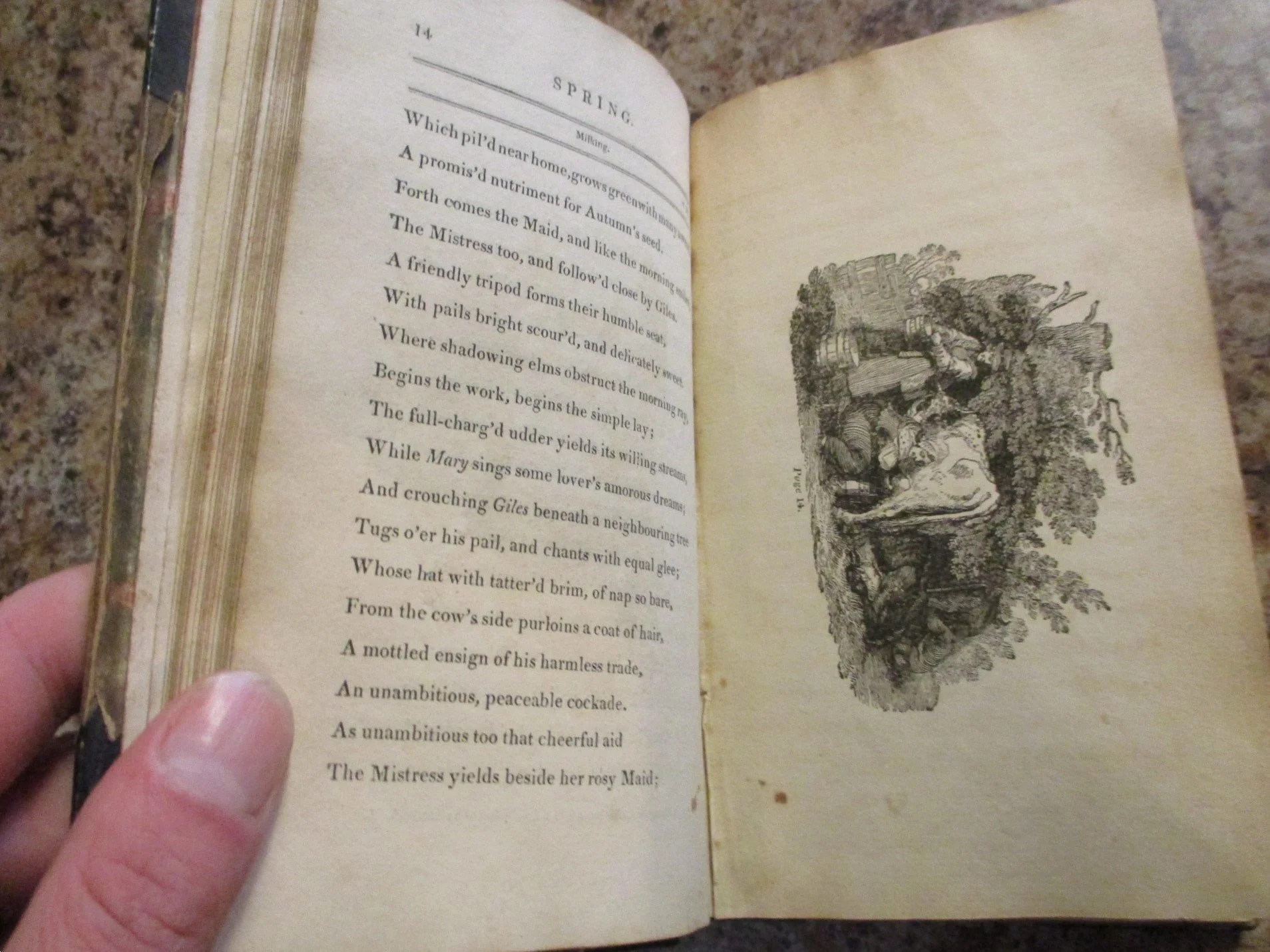 001845 - Bloomfield's Poems 6.JPG