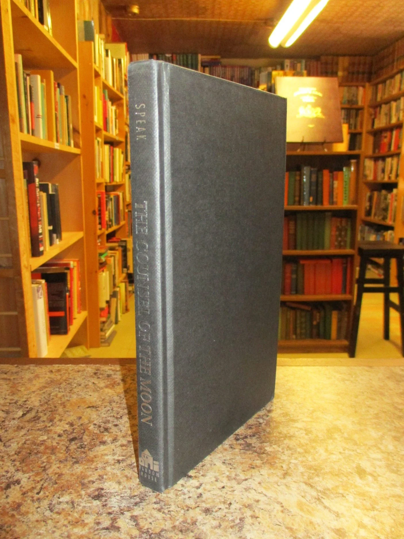 002006 - Counsel of the Moon 4.JPG