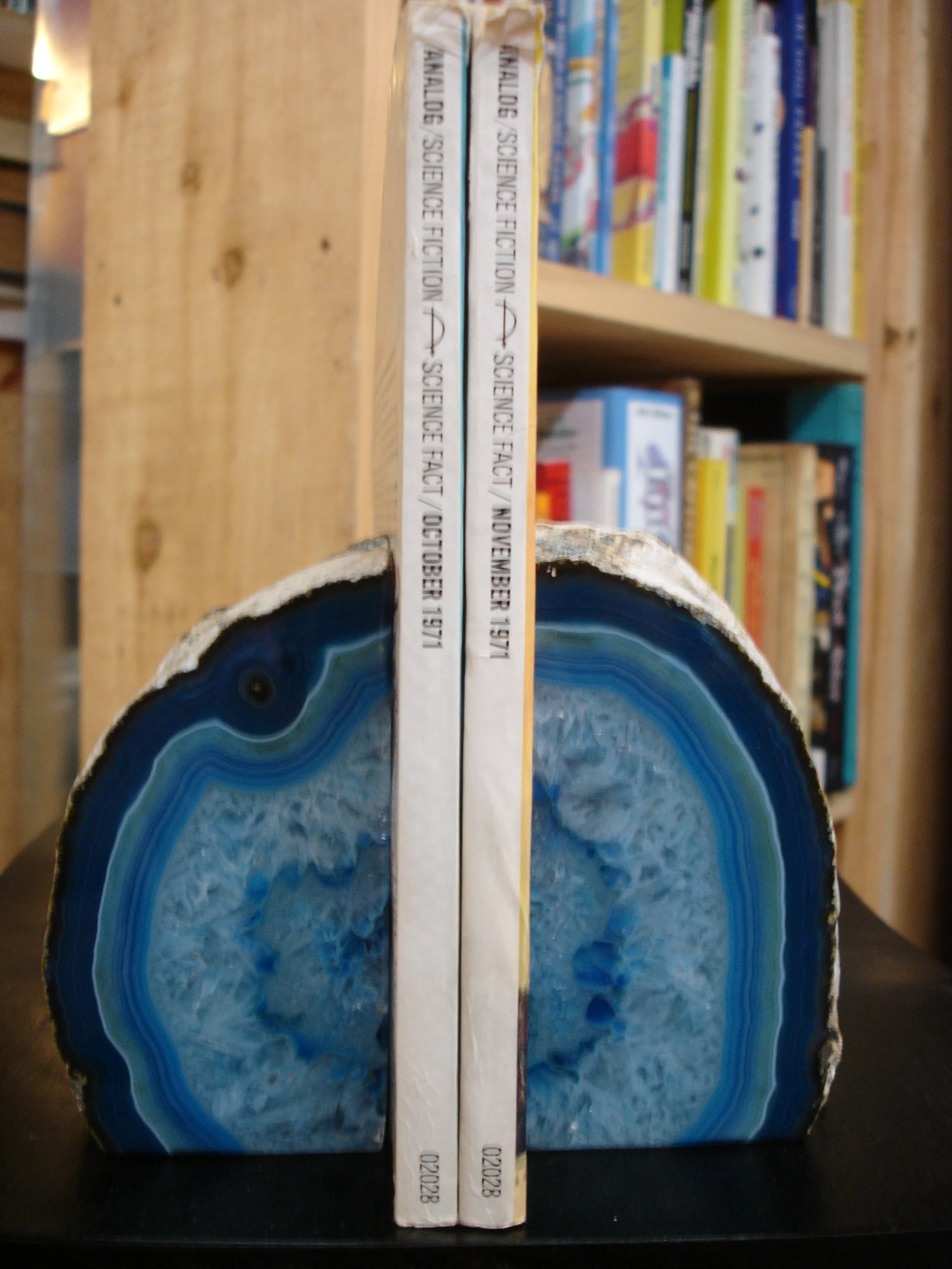 002191 - Hierarchies spines.JPG