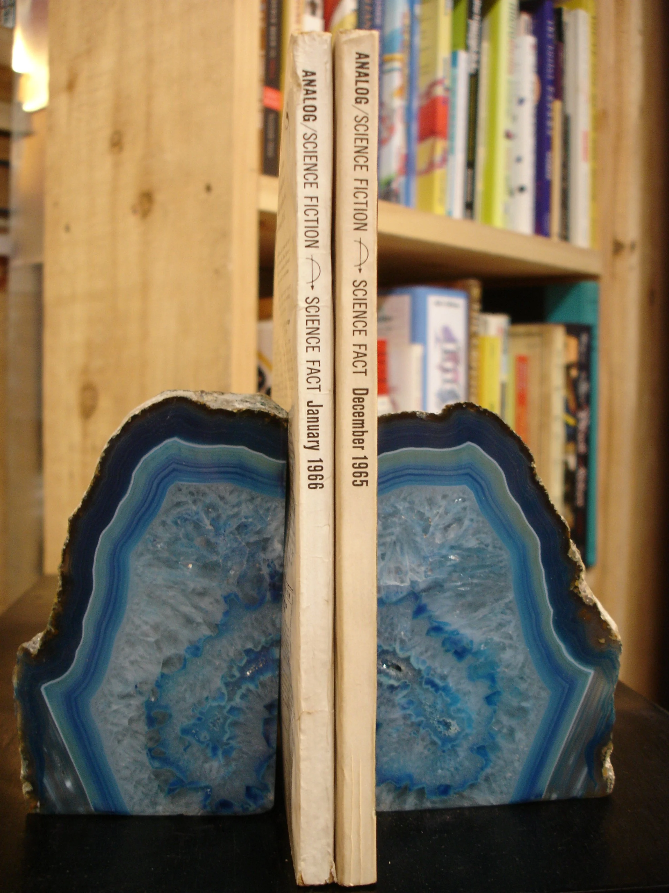 002210 - Beehive spines.JPG