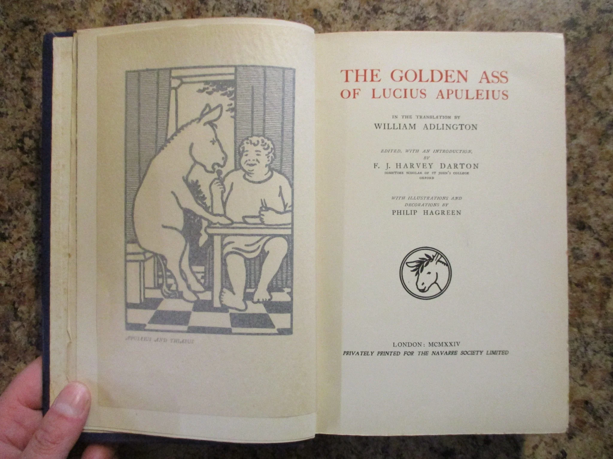 003986 - Golden Ass 6.JPG