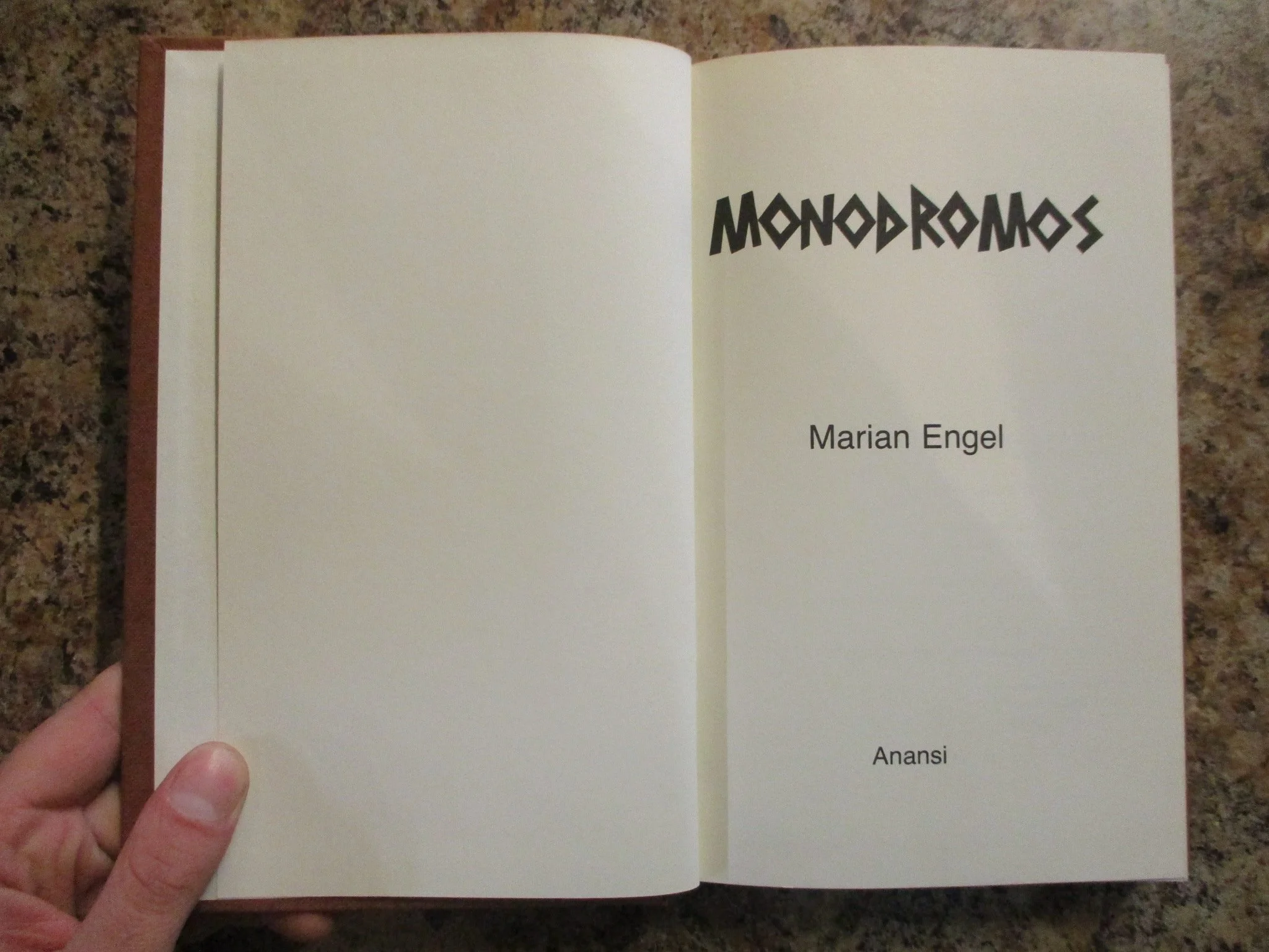 003993 - Monodromos 6.JPG