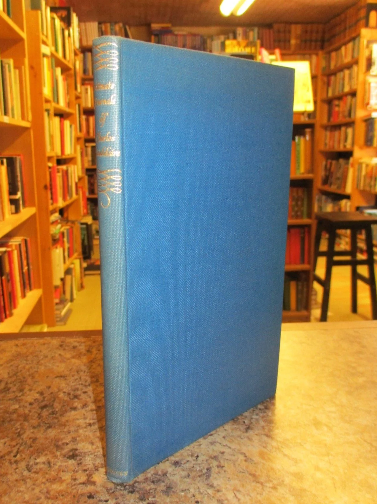 004006 - Intimate Journals 3.JPG