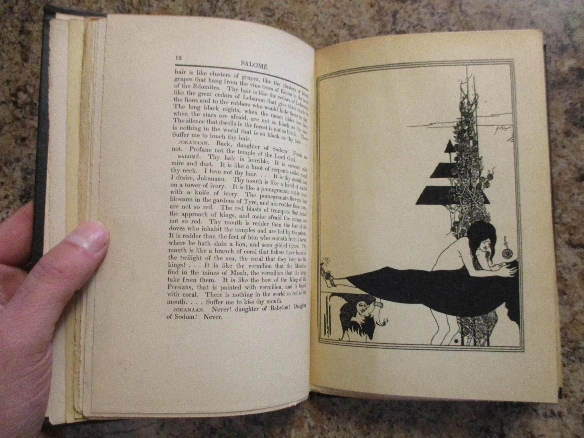 004008 - Salome 5.JPG