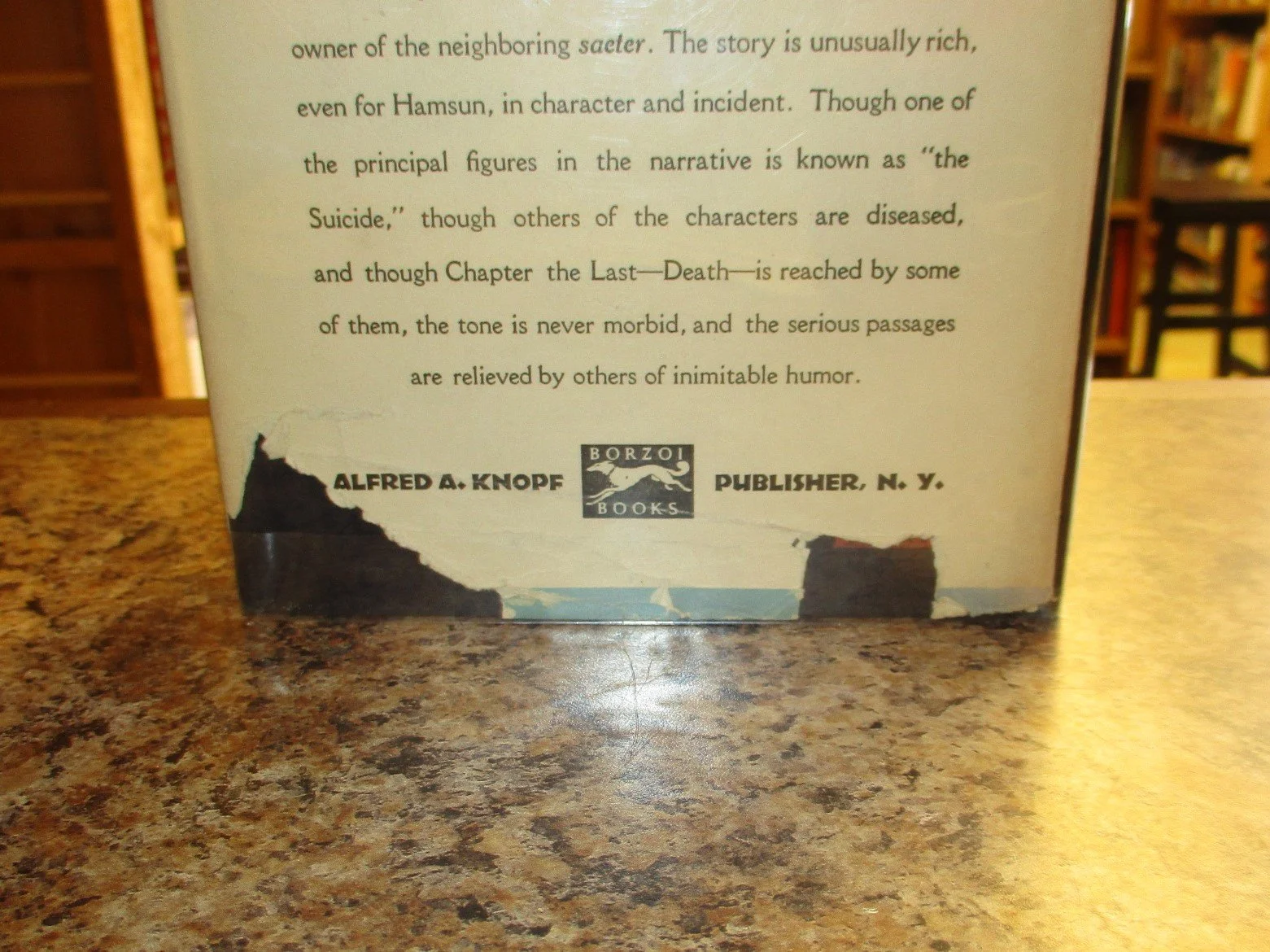 004011 - Chapter The Last 7.JPG