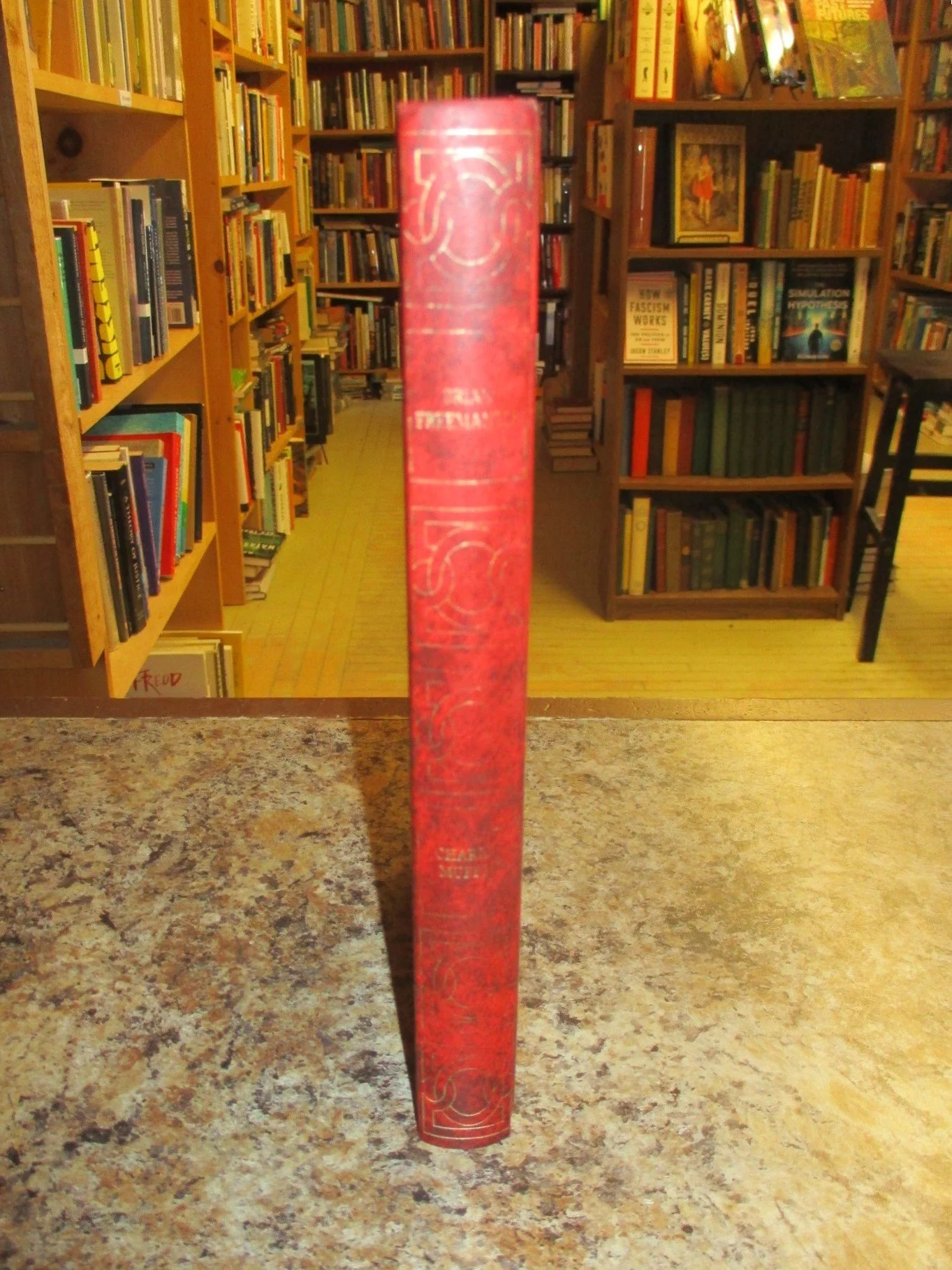 004353 - Charlie Muffin 3.JPG