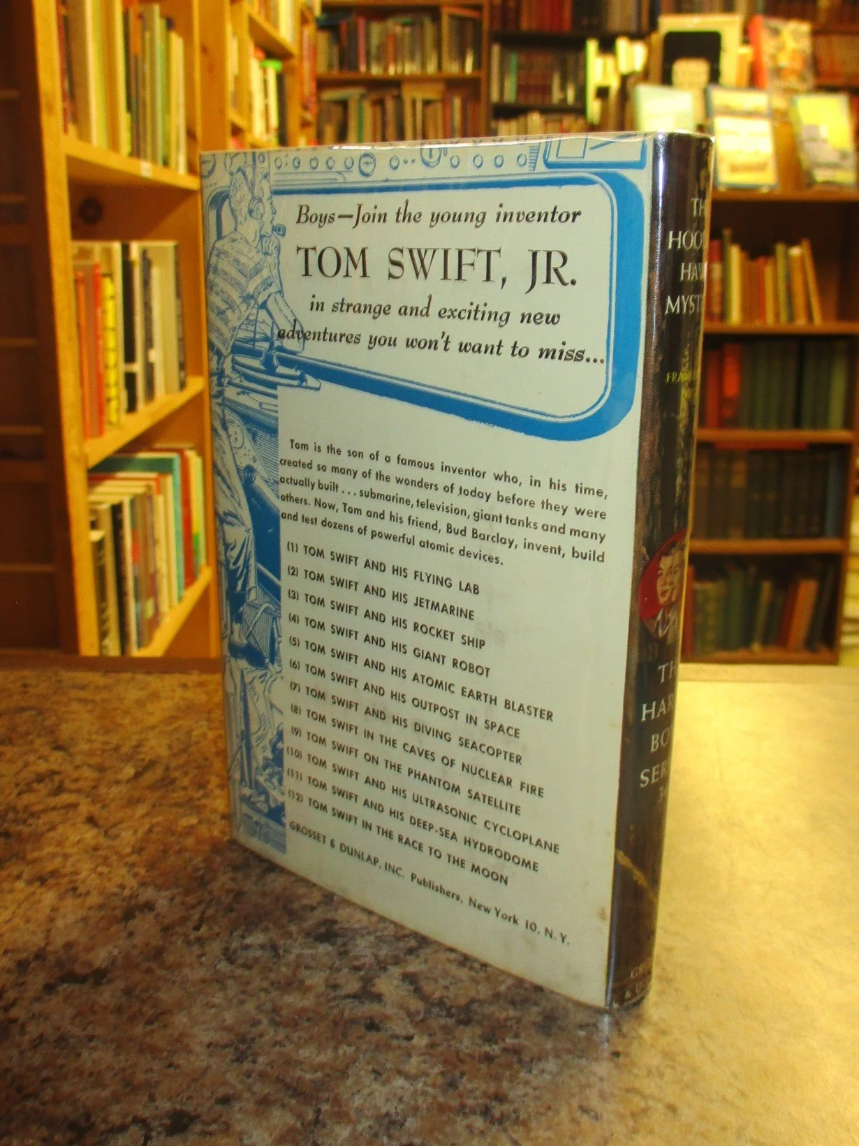 004300 - HB34 Hooded Hawk 2.JPG