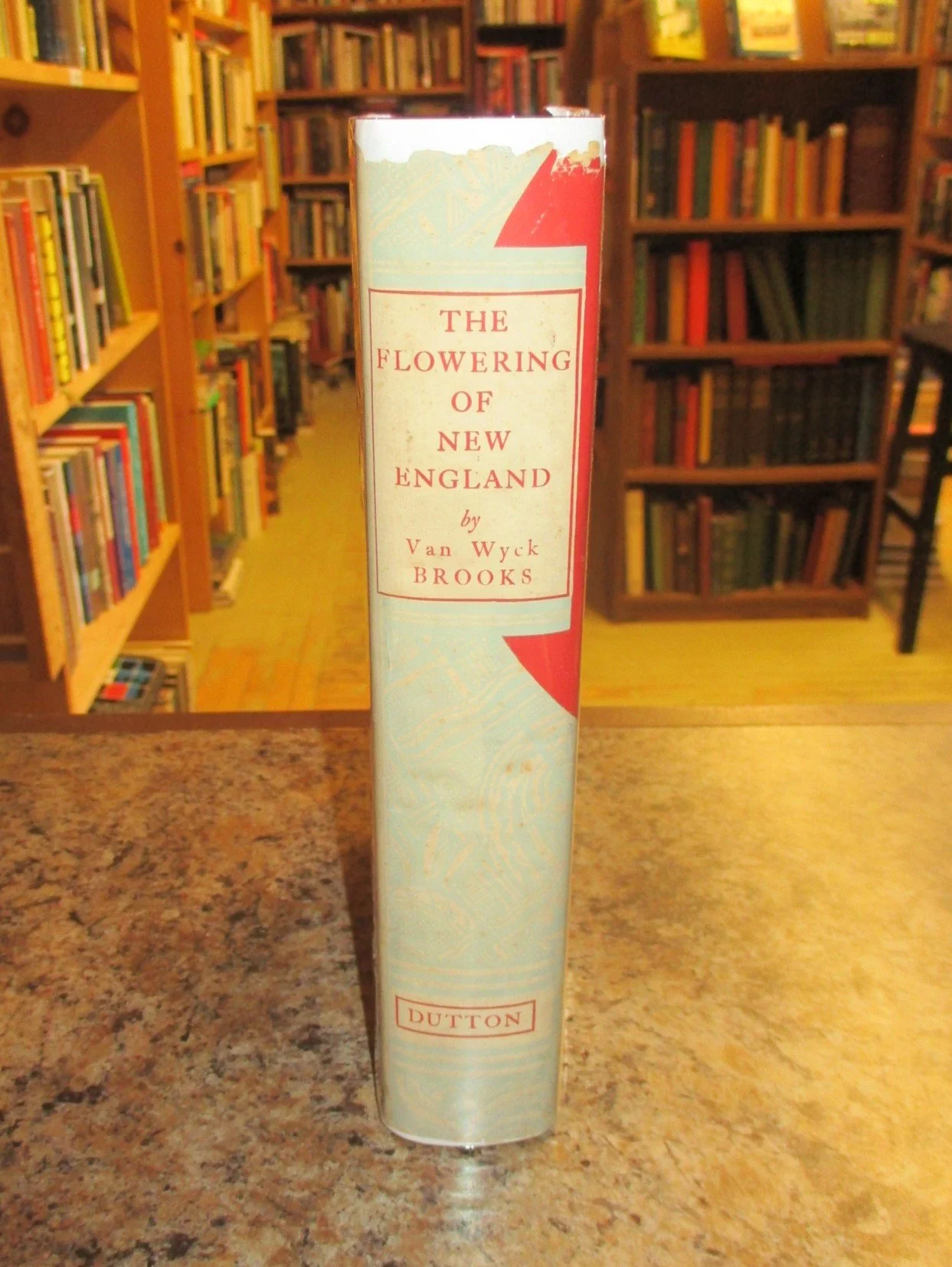 004289 - Flowering New England 3.JPG