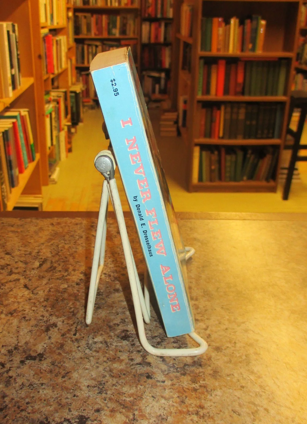 004305 - I Never Flew Alone 3.JPG