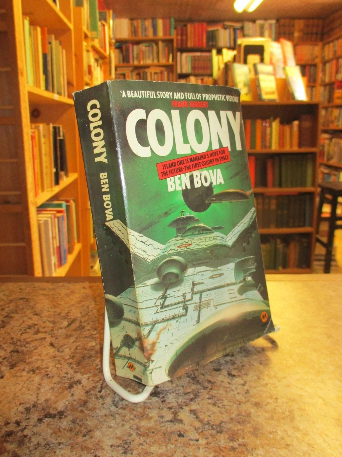 004269 - Colony 1.JPG