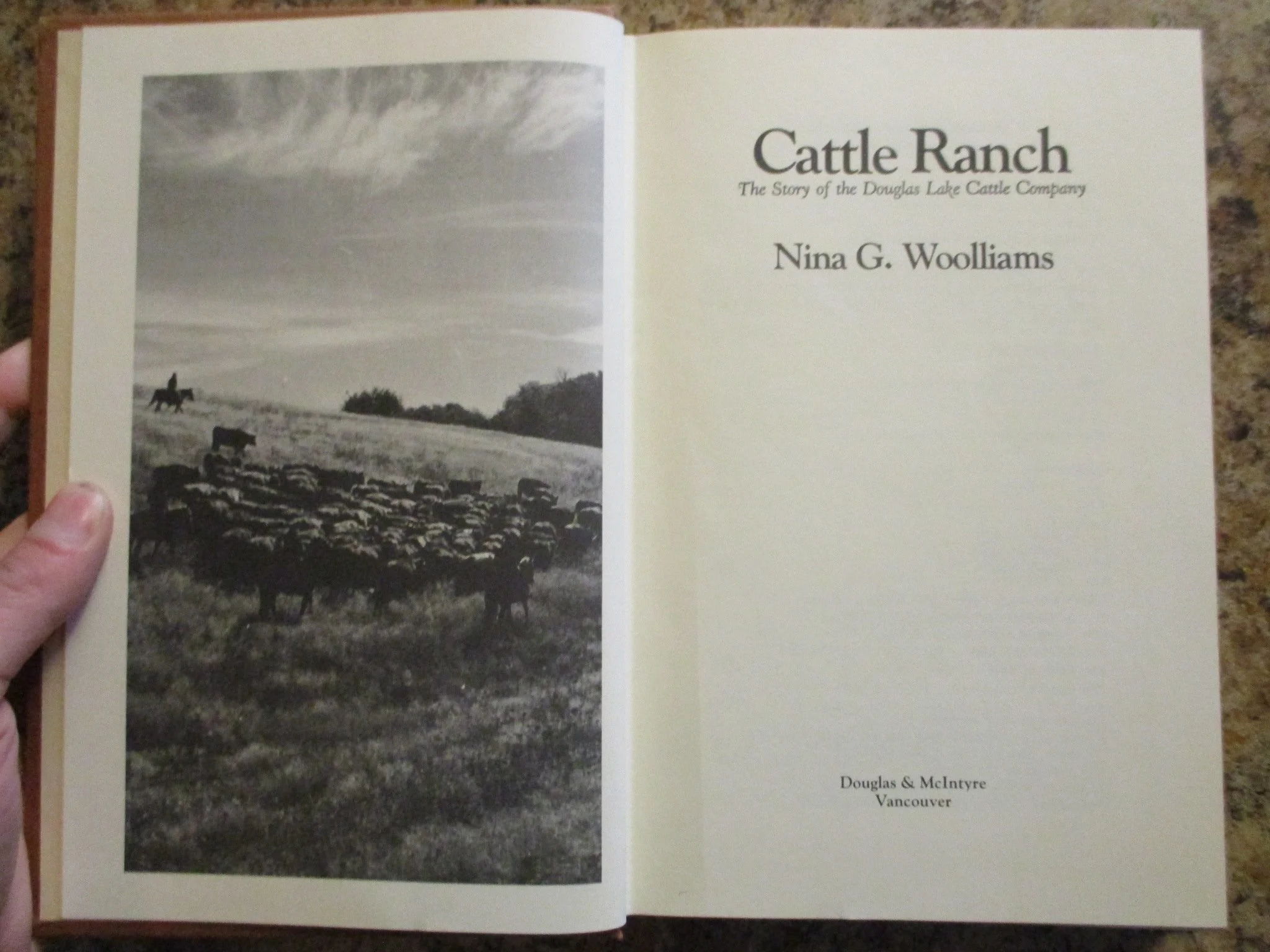 004393 - Cattle Ranch 5.JPG