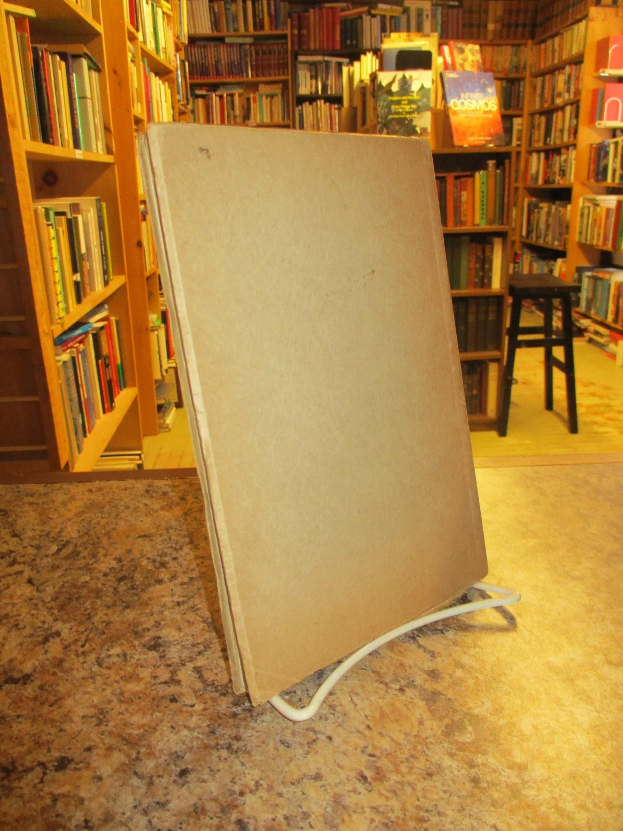 004197 - Enchanted Echo 2.JPG